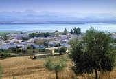 tkm003_203509