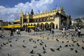 tkm003_203859