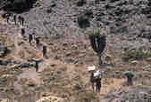 tkm003_204070