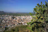 tkm003_206797