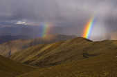 tkm003_208407