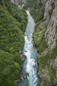 tkm003_209320