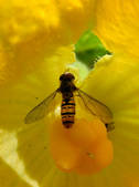 tkm003_540232