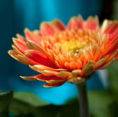 tkm003_550085