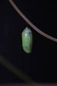 tkm003_551547