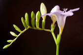 tkm003_552061