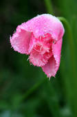 tkm003_553000