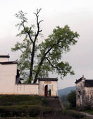 tkf002_100302