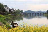 tkf002_101035