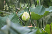 tkf002_101638