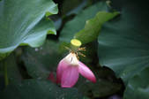 tkf002_101655