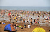 tkf002_101769