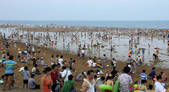 tkf002_101784