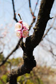 tkf002_102535