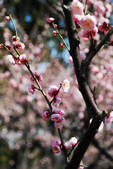 tkf002_102542