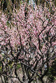 tkf002_102547