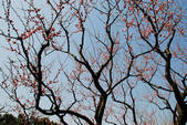 tkf002_102550