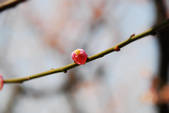 tkf002_102553