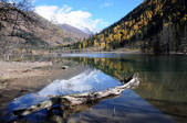 tkf002_103657