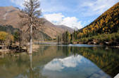 tkf002_103660