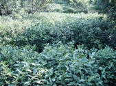 tkf002_104691