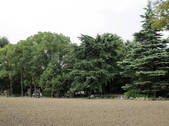 tkf002_117279