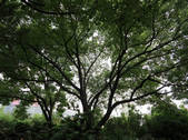 tkf002_117282