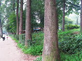 tkf002_130872