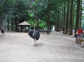 tkf002_131382
