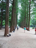 tkf002_131388