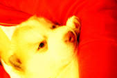 tkf002_109675