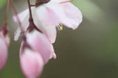 tkf002_111112