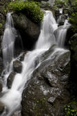 tkf002_111121