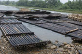 tkf002_111138