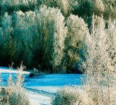 tkf002_111579