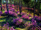 tkf002_111586