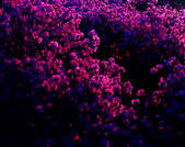 tkf002_111612