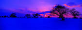tkf002_111613