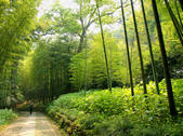 tkf002_111824