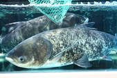 tkf002_122621