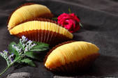 tkf002_123538