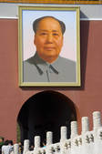tkf005_2305687