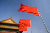 tkf005_2305696