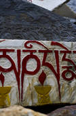 tkf005_2308706