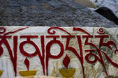 tkf005_2308707