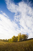 tkf005_2309508