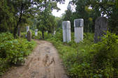 tkf005_2309704