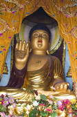 tkf005_2309726
