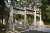 tkf005_2309786