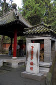 tkf005_2309795